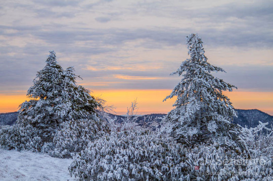 Roan-Mountain-20121228-5